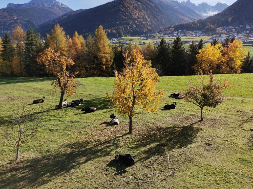 Ferienwohnungen Simon - Hauserhof Oberperfuss Luaran gambar